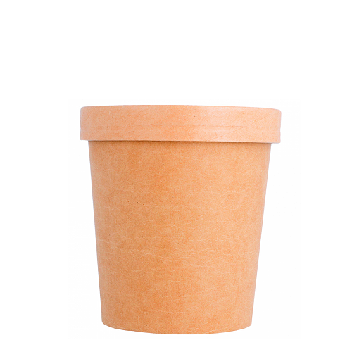 RECIPIENTE PAPEL KRAFT CON TAPA 48CL (480ML)