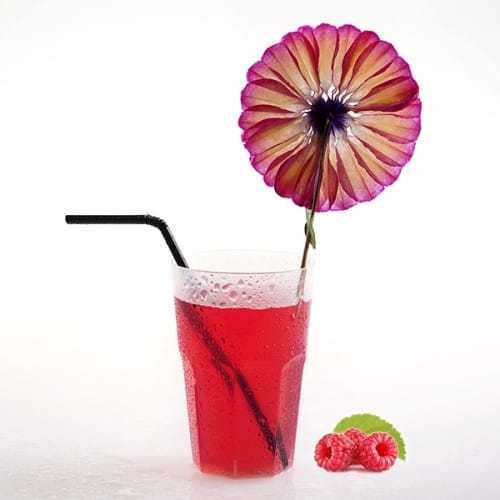 VASO GRANITY EN PP 30CL (300ML) - Image 2