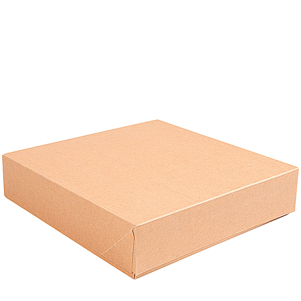 CAJA DE CARTÓN CORRUGADO 23x23x5CM PARA SUSHI