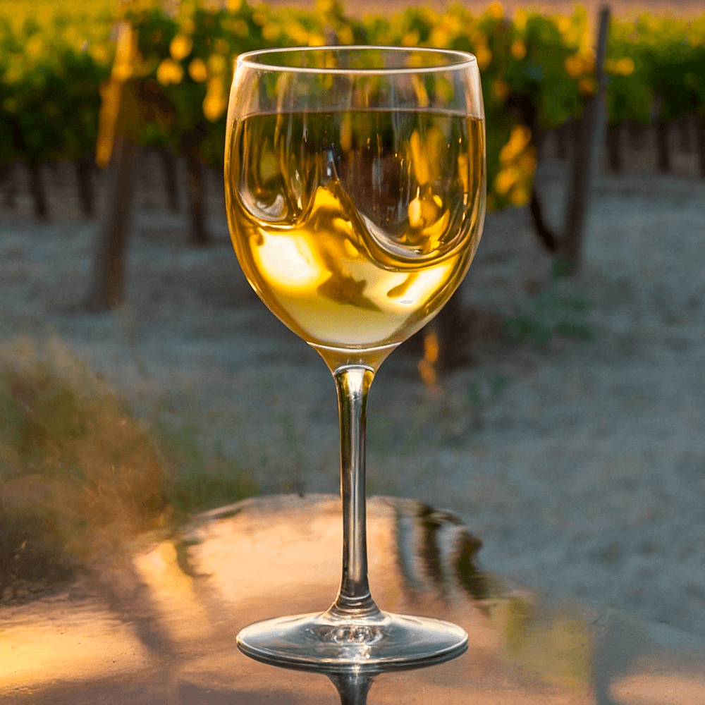 VASO VINO O AGUA EN SAN 20CL (200ML) - Image 2