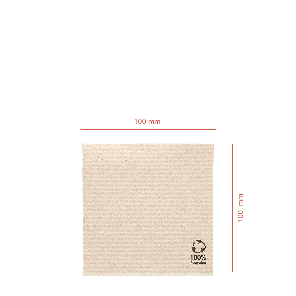 SERVILLETA DE PAPEL RECICLADO ECOLABEL DOUBLE POINT 20X20CM (ABIERTA) - Image 2