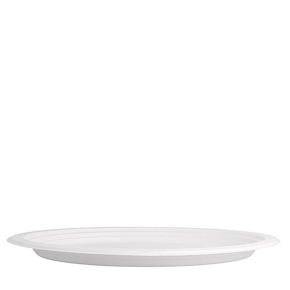 PLATO (FUENTE) BAGAZO BLANCO OVAL 32x25,5CM - Image 2