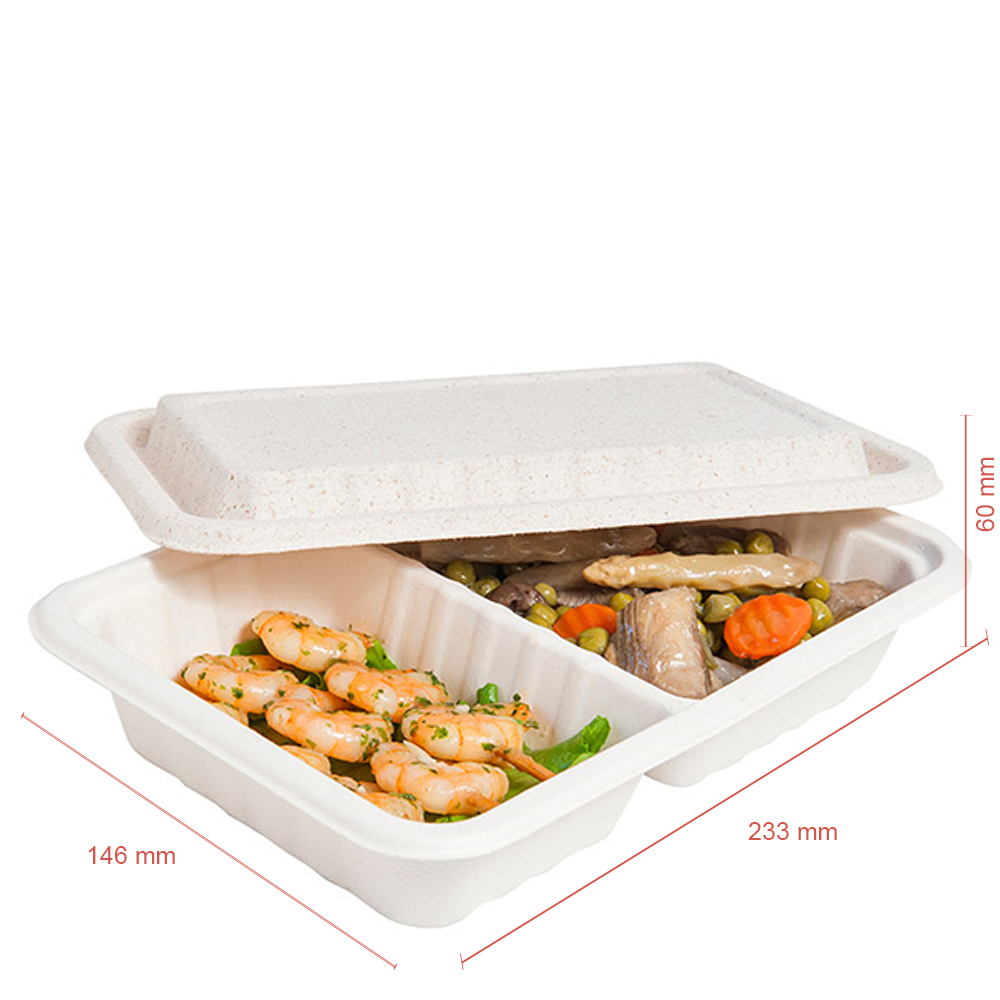 CAJA BAGAZO NATURAL CON DIVISORIA Y TAPA 80CL (800ML) - Image 2