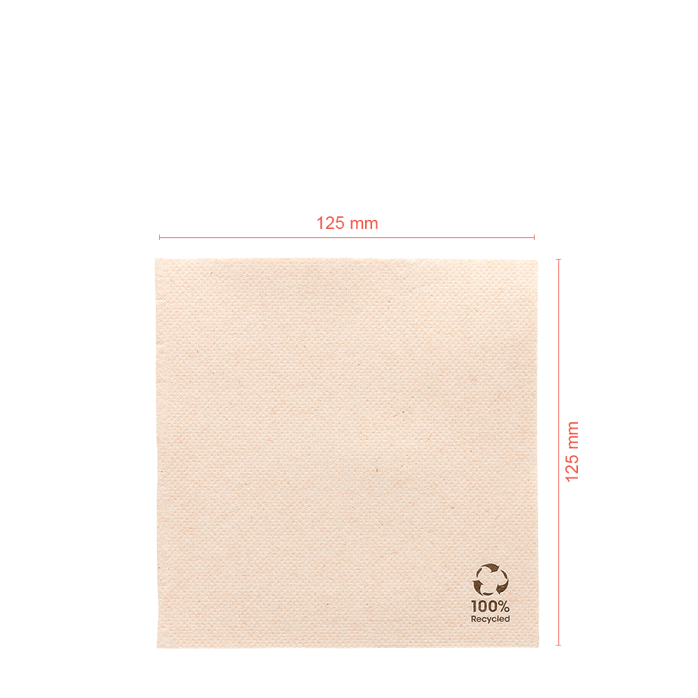 SERVILLETA DE PAPEL RECICLADO ECOLABEL DOUBLE POINT 25x25CM (ABIERTA) - Image 3