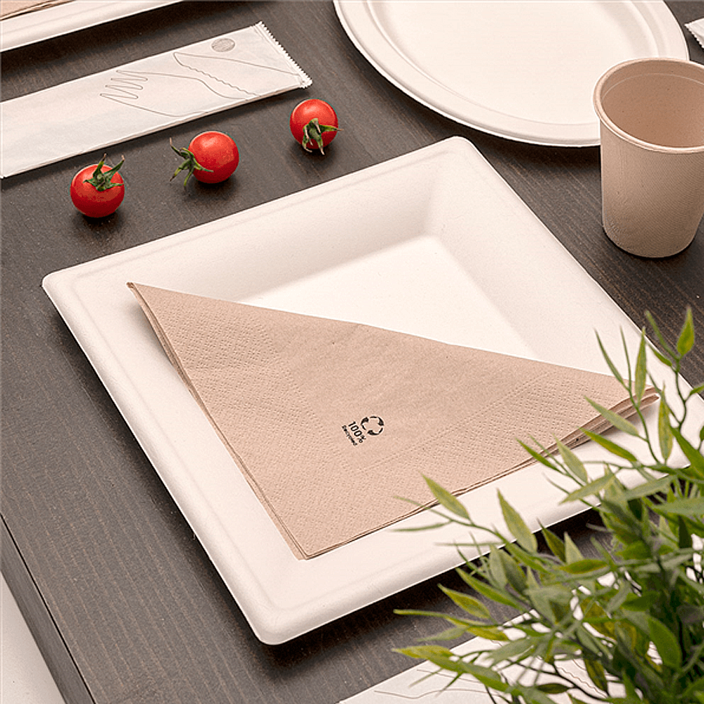 PLATO BAGAZO BLANCO CUADRADO 20CM - Image 2