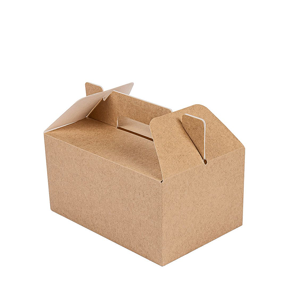 CAJA LUNCH BOX CARTÓN NANO-MICRO 18X12X9CM