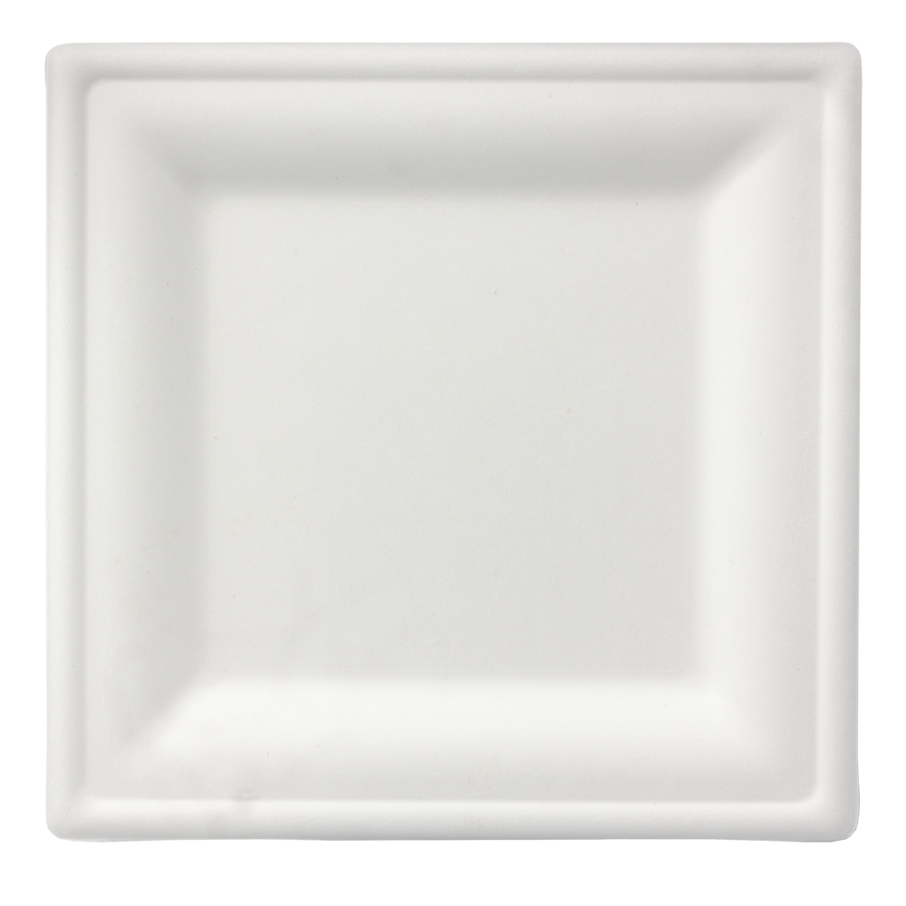 PLATO DE CAÑA DE AZÚCAR BLANCO CUADRADO 20x20CM