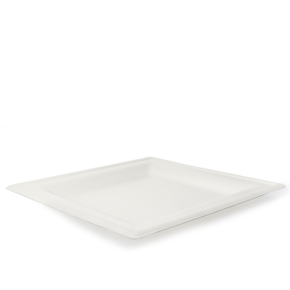 PLATO FIBRA CAÑA DE AZÚCAR CUADRADO 20CM - Image 2